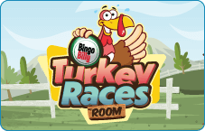 TURKEY RACES ROOM 