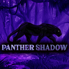 Panther Shadow