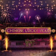 Chinese Lucky Year