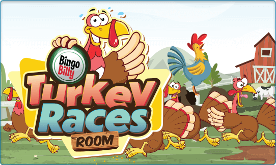 TURKEY RACES ROOM